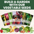 125 2026 600 Cherokee Purple Tomato Premium Seeds for Planting Rich, Juicy, Historic Heirloom for the Season Milligram