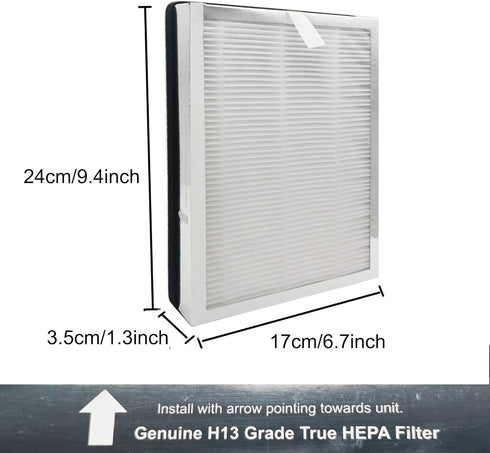 True HEPA Replacement Filter,Compatible with MA Air Purifier 25 Series, in 1 Pre-filter,H13 True HEPA,Contains High-Efficiency C Filter(2 PACKS)