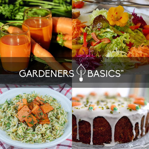 5 Pack 58, Summer, Gardeners Basics, Carrot Seeds for Planting Home Garden - Variety Rainbow, Imperator Scarlet Nantes
