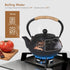 4 Set Japanese Style Cast Iron Teapot with Tea Cups Trivet Tetsubin Tea Kettle with Infuser Chinese Tea for Adults Iron