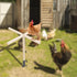 Neeenn Chicken Perch Toy for Coop, Wooden Chick Perch Stand with Metal Ground Plug, Chicken Coop Backyard Poultry