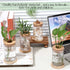 12 Packs Set Baderke Plastic Plant Propagation Vase Thank You Gift Desktop Plastic Planter Vase with Bamboo Stand