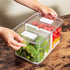 SANNO Vegetable Fruit Storage Containers - Refrigerator Storage Containers with Lids and Vents for Fresh Produce