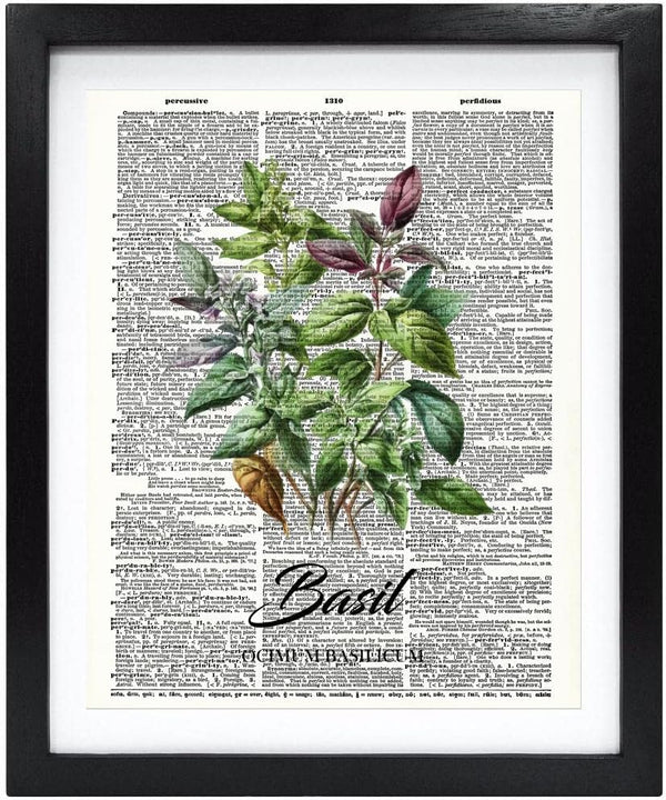 Susie Arts 8X10 Unframed Kitchen Seasoning Spice Basil Herb Plant Vintage Dictionary Art Print for Home Decor