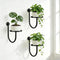 XNGZY Wall Planters for Indoor Plants, 3 Pack Wall Mounted Plant Holder, Metal