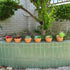 Yishang 4.4 Inch Shallow Terracotta Plant Pots, Ceramic Clay Cactus/Succulent Container with Drain Hole for