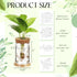 12 Packs Set Baderke Plastic Plant Propagation Vase Thank You Gift Desktop Plastic Planter Vase with Bamboo Stand