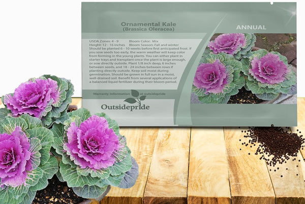 Outsidepride Ornamental Kale Seeds - 1000 Pcs. Annual, Easy to Grow &