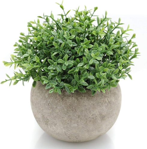 Velener Mini Sage Green Potted Boxwood Topiary, Artificial Plants for Home Decor, Indoor, Small Fake Plant