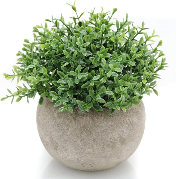 Velener Mini Sage Green Potted Boxwood Topiary, Artificial Plants for Home Decor, Indoor, Small Fake Plant