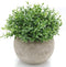Velener Mini Sage Green Potted Boxwood Topiary, Artificial Plants for Home Decor, Indoor, Small Fake Plant