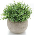 Velener Mini Sage Green Potted Boxwood Topiary, Artificial Plants for Home Decor, Indoor, Small Fake Plant