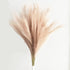 UiiziC Faux Pampas Grass Dried Fluffy 6pcs, 35" Ascendant Grass for Wedding Bouquets, Home Decor (Brown)
