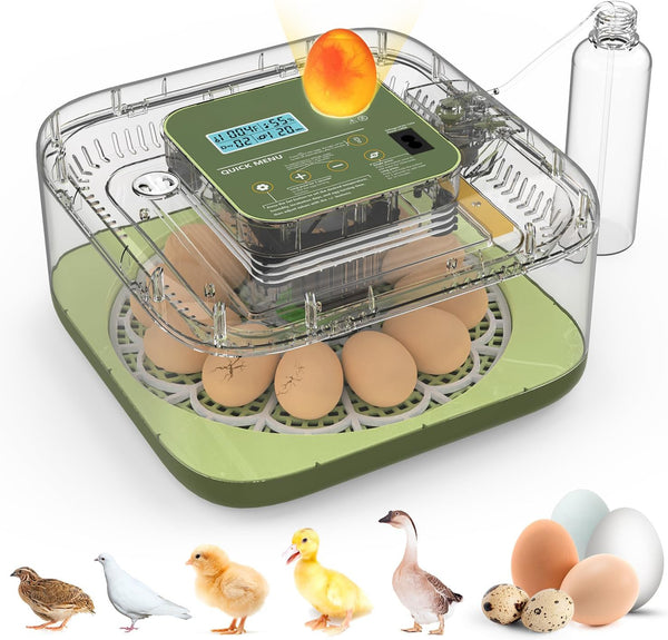 HOWOOlUA 12 Egg Incubator for Hatching Eggs withAuto Turn, Temp & Humidity