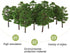 BESPORTBLE Artificial Trees Model - 20pcs Architectural Micro 9CM Imitation Landscape Tree Model Scenery