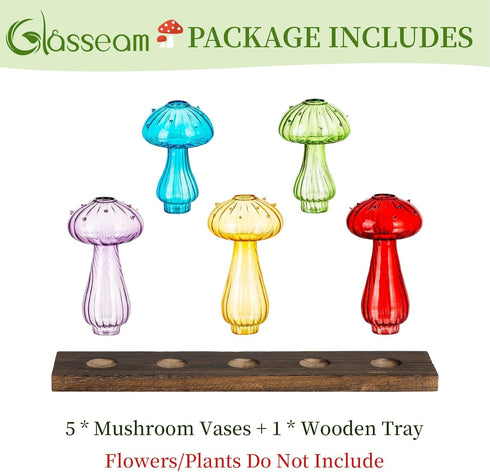 Glasseam Mushroom Plant Propagation Station: Cute Glass Terrarium Jar with Wooden Stand Unqiue Planters for Indoor