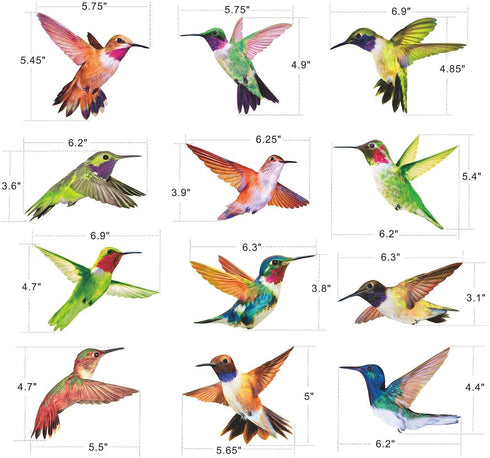 Anti-Collision Window Clings Bird Alert Collision Decals to Prevent Bird Strikes on Window Glass - Set of 12 Hummingbirds by Petallo