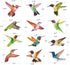 Anti-Collision Window Clings Bird Alert Collision Decals to Prevent Bird Strikes on Window Glass - Set of 12 Hummingbirds by Petallo