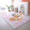 Fluffy Rainbow Rugs for Girls Bedroom Living Room,6x9 Feet Shag Fuzzy Area