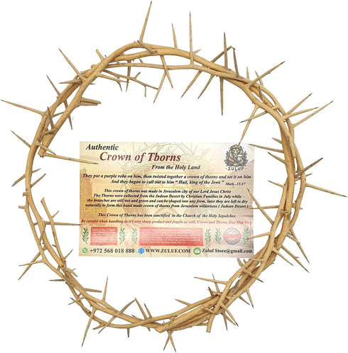 ZULUF Crown of Thorns Ornament, 7.5" from Bethlehem Jerusalem, Gift Boxed