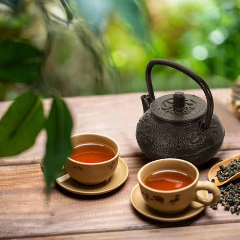 Luxshiny Cast Iron Teapot - Mini Iron Teapot, Chinese Kung Fu Teapot for Office, Home, Tea House, Stove Kettle, Chinese