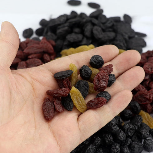 ginojex 500g (680Pcs) 5 Fake Dried Fruit Artificial Dried Blueberries Faux Cranberry Simulation Blackcurrant Dry