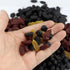 ginojex 500g (680Pcs) 5 Fake Dried Fruit Artificial Dried Blueberries Faux Cranberry Simulation Blackcurrant Dry