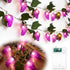 1 3D Summer 9.8ft 20leds Bulbs Baquler Pcs LED Grape String Lights Battery Operated Fruit Light String Grape