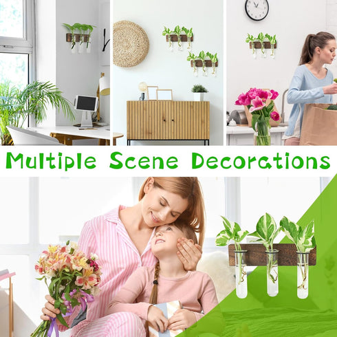 3 3 XXXFLOWER Wall Mounted Plant Terrarium with Wooden Stand PCS Hanging Planter Propagation Station with Glass Tubes