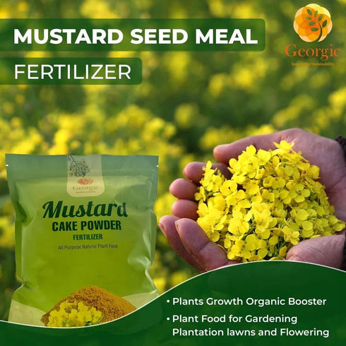 (3 lb) Mustard Oil Cake Powder All-Purpose Natural Fertilizer for Flowers, Vegetables, Herbs, Fruit Trees & Plants