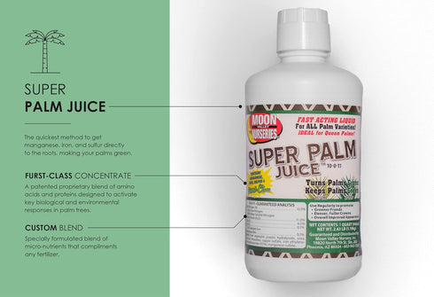1 Super Palm Juice - Palm Tree Fertilizer - Quart