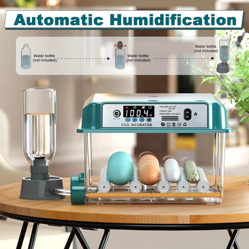 16 CoInceptus Eggs Incubators for Hatching Eggs, Egg Incubator with Automatic Egg Turning and Temperature Control