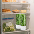 Sibosen 3 Pack 2-3 Herb Saver for Refrigerator Large Fresh Herb Keeper Cilantro Container for Refrigerator Vegetable