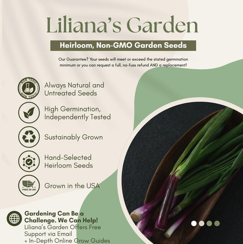 Liliana's Garden Apache Red Bunching Onion Seeds aka Red Scallion or Salad Onion | Heirloom Seeds by |