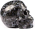 Skullis 2.0" Gabbro Crystal Skull - Hand Carved Gemstone Fine Art Sculpture, Reiki Healing Stone Statue