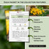 10 Packets Sow Right Seeds - Tomato Seed Collection for Planting - Varieties with Many Sizes, Shapes, and Colors
