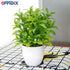 OFFIDIX Mini Plastic Artificial Eucalyptus Leaves, Faux Plant with Pots for Home and Office Decor