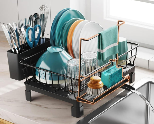 GSlife Small Dish Drying Rack for Kitchen Counter with Sponge Holder -