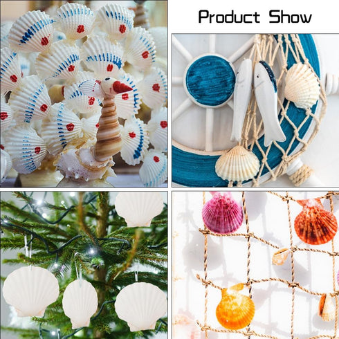 6PCS 4inch Scallop Shells, White Sea Shell for Crafting, DIY Painting, Home Wedding Decoration Natural Scallop Shells