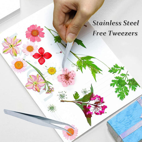 Dried Pressed Flowers for Resin, 60PCS Pink Real Pressed Dried Plum Blossom Flower for Scrapbooking DIY Crafts