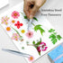 Dried Pressed Flowers for Resin, 60PCS Pink Real Pressed Dried Plum Blossom Flower for Scrapbooking DIY Crafts