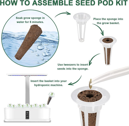 (8-Pod) Lettuce Seed Pod Kit, Romaine, Butter Head, Red Sail, Red&Green Leaf, Red Sail Lettuce, Grow Anything Seed Pod