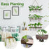 21 3 XXXFLOWER Wall Hanging Propagation Station with Wooden Stand Glass Test Tubes Tiers Planters Wall Terrarium