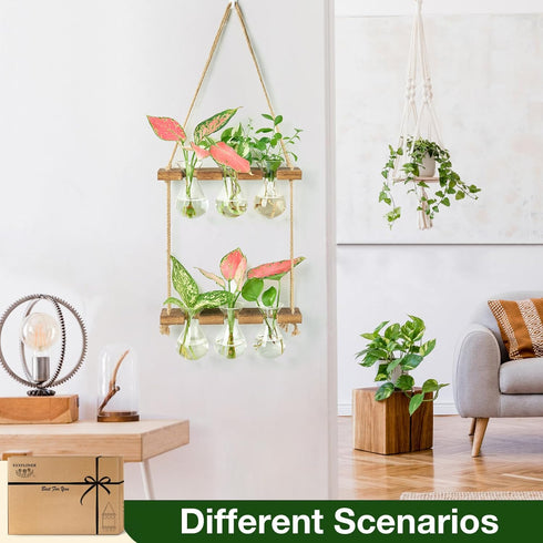 3 Bulb 2 XXXFLOWER Wall Hanging Propagation Station with Wooden Stand Vase Tiers Planters Wall Terrarium for Home