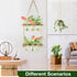 3 Bulb 2 XXXFLOWER Wall Hanging Propagation Station with Wooden Stand Vase Tiers Planters Wall Terrarium for Home