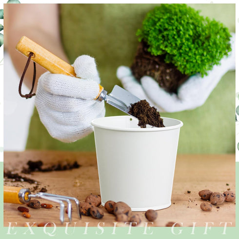 2 Sets 10 FoldTier Herb Garden Planter Indoor Kit with Trey Pcs Metal Windowsill Plant Pots with Drainage Holes Indoor