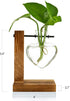 Bulb (D(1 Kingbuy Hydroponic Glass Vase Vintage Desktop Plant Terrarium Planter Vase Water Planting Propagation Vase