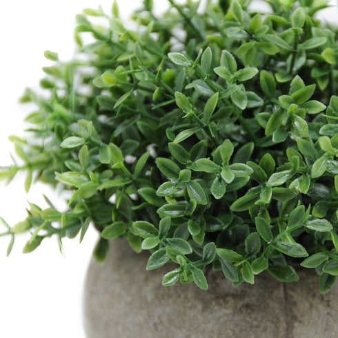 Velener Mini Sage Green Potted Boxwood Topiary, Artificial Plants for Home Decor, Indoor, Small Fake Plant