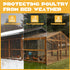 PJT 16Mil Winter,6x10ft Chicken Coop Covers for Thicken Clear Winterizing Insulation Vinyl Tarp for Chicken