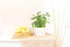(4" Monstera Adansonii 'Swiss Cheese' Minimalist Pot w. Saucer) - Air-Purifying Houseplant with White Flowers - Live